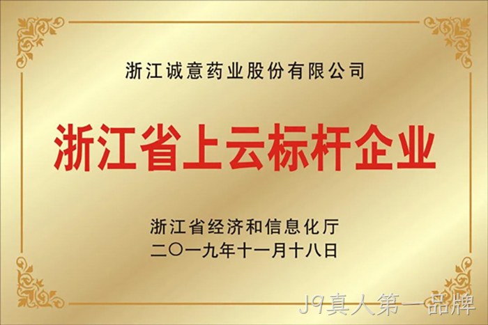 浙江省上云标杆企业 浙江省上云标杆企业